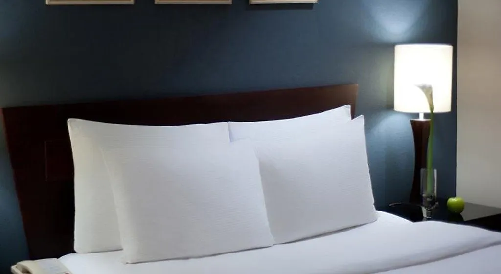 Hodelpa Centro Plaza Hotel Santiago De Los Caballeros 3*,